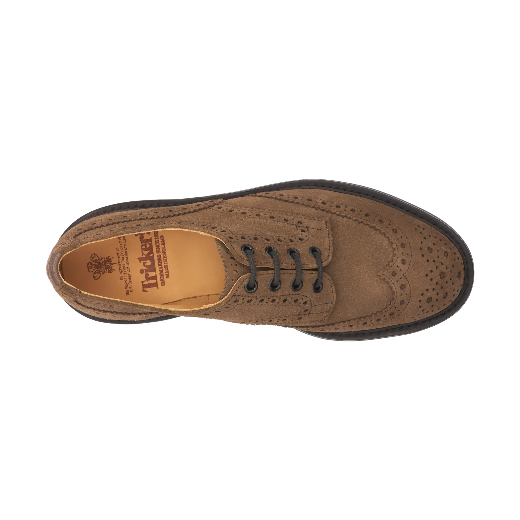 "Bourton" Suede Derby Shoes in Brown